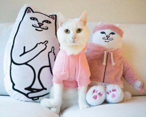 Zdroj : facebook.com/Sadcasm