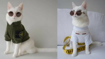 facebook.com/Sadcasm