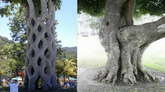 facebook.com/sarcasmLOL