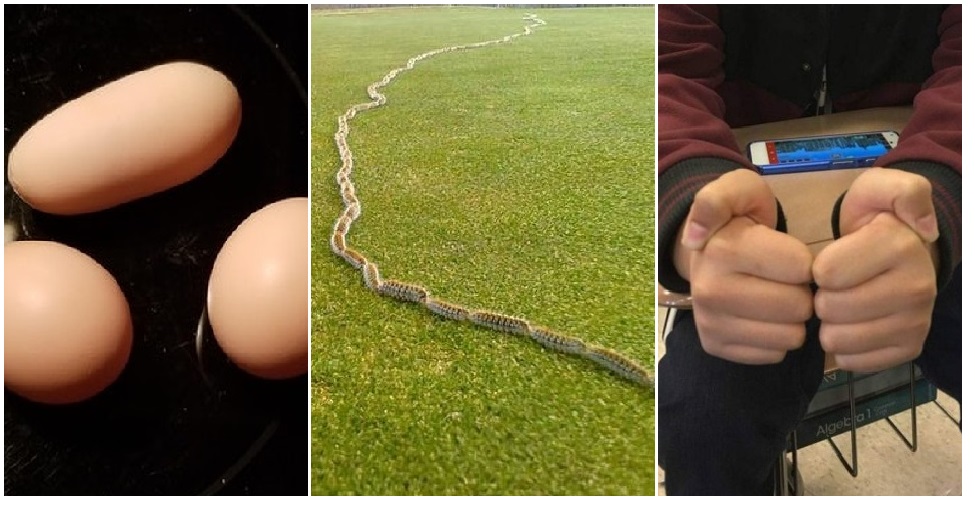 Zdroj : brightside.me