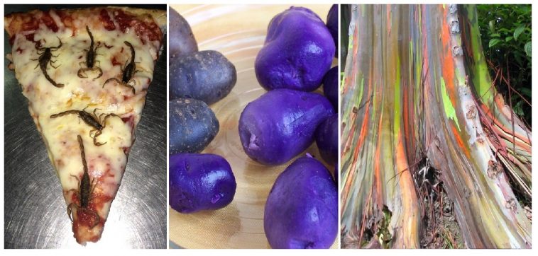 Zdroj : brightside.me