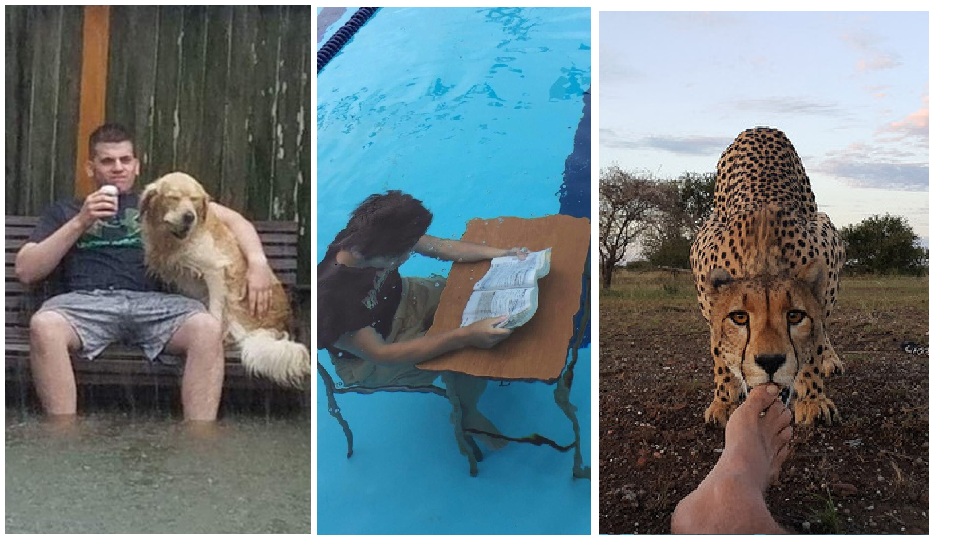 Zdroj : brightside.me