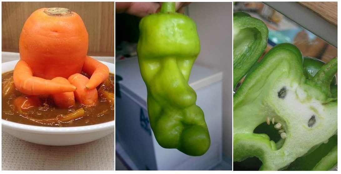 Zdroj : brightside.me