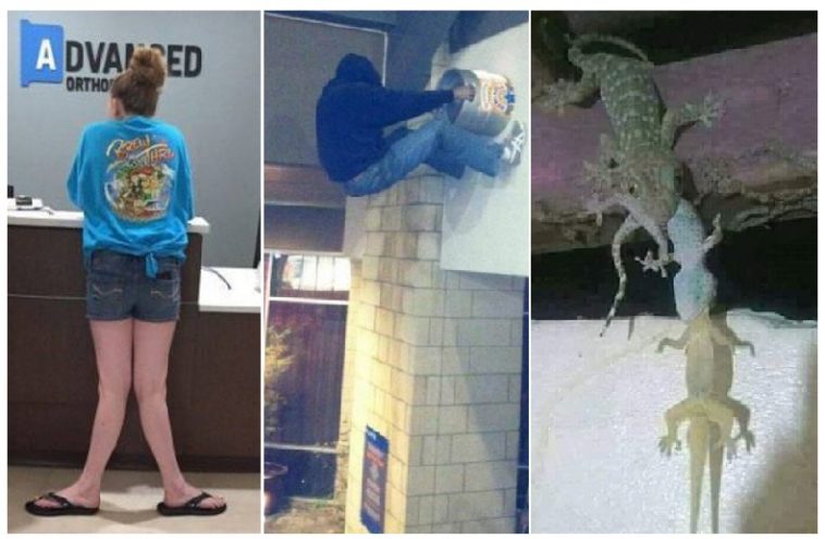 Zdroj : brightside.me