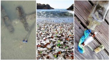 Zdroj : brightside.me