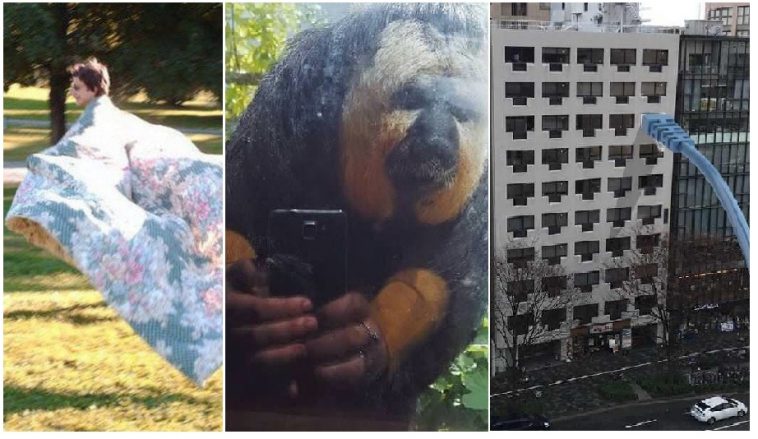 Zdroj : brightside.me