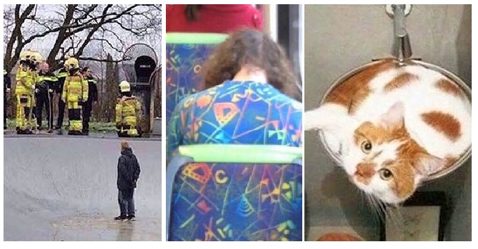 Zdroj : brightside.me