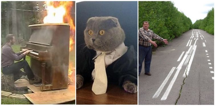 Zdroj : brightside.me