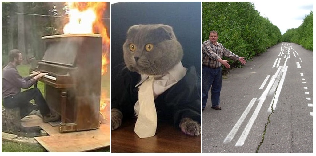 Zdroj : brightside.me