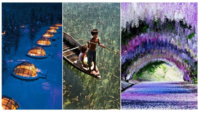 Zdroj : brightside.me