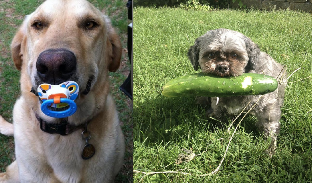 Zdroj: brightside.me