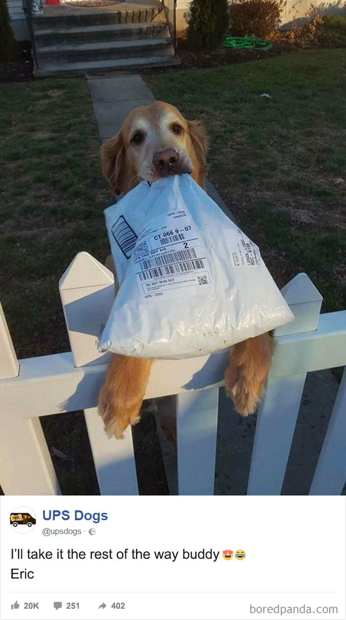 Zdroj: boredpanda.com