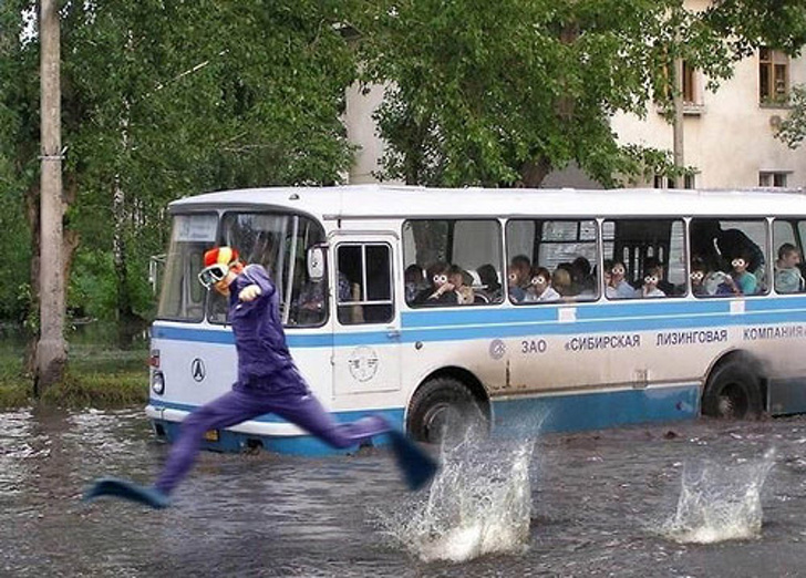 Zdroj : brightside.me