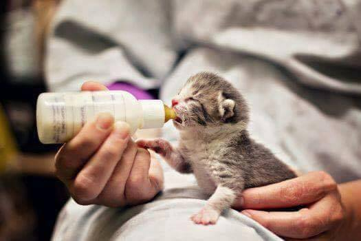 facebook.com/Sadcasm