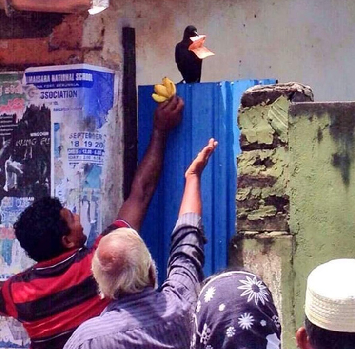 Zdroj : brightside.me