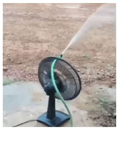 Zdroj : brightside.me