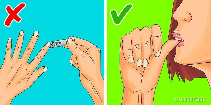 Zdroj : brightside.me