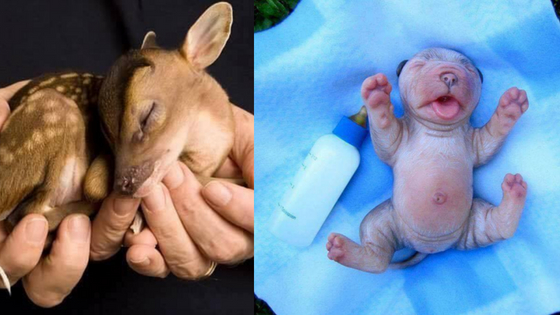 facebook.com/Sadcasm