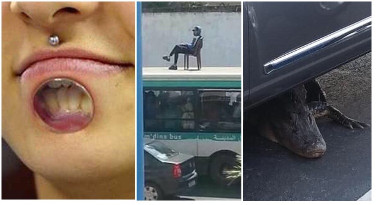 Zdroj : brightside.me