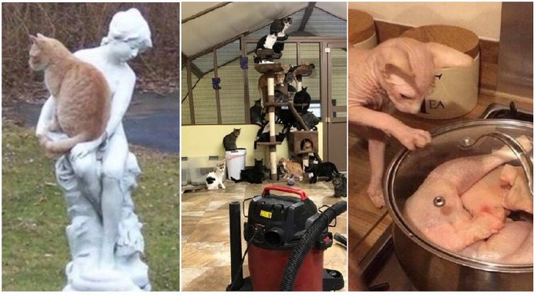 Zdroj : brightside.me