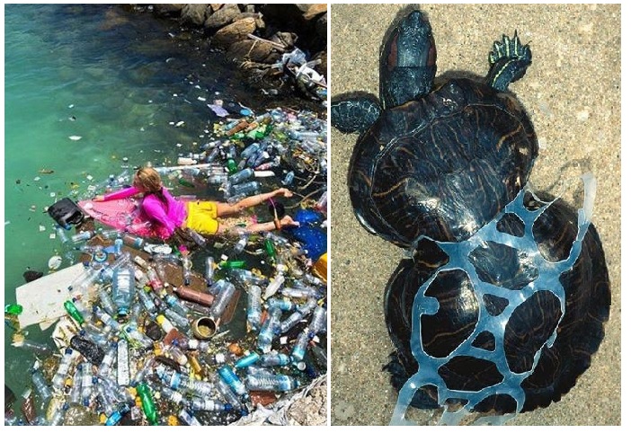 Zdroj : brightside.me