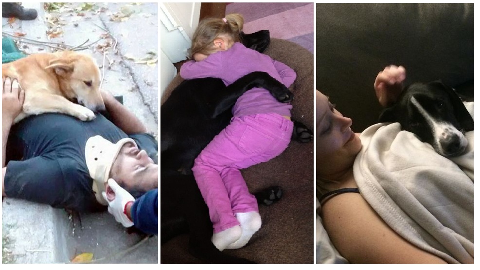 Zdroj: boredpanda.com