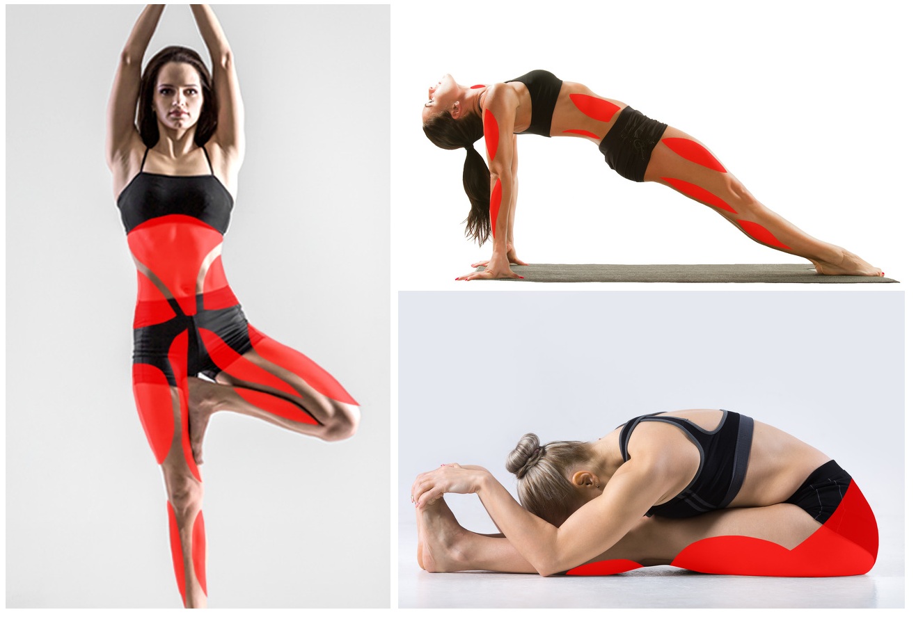 Zdroj : brightside.me