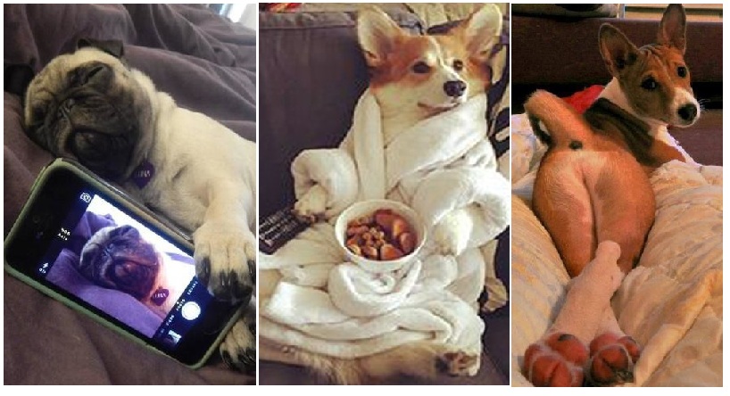 Zdroj : brightside.me