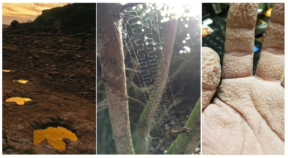 Zdroj : brightside.me