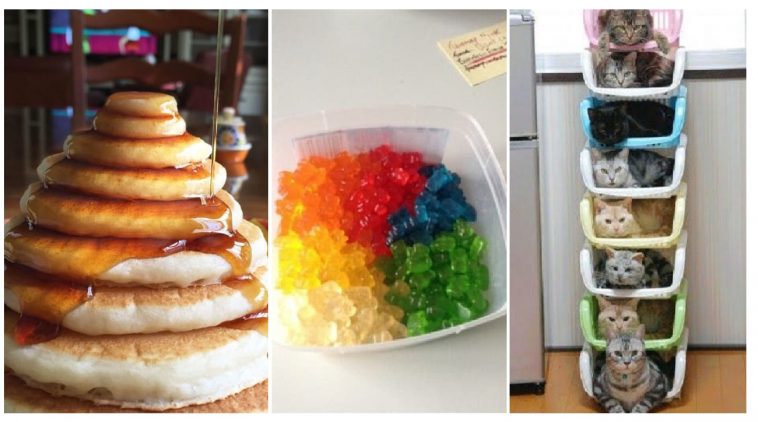 Zdroj : brightside.me