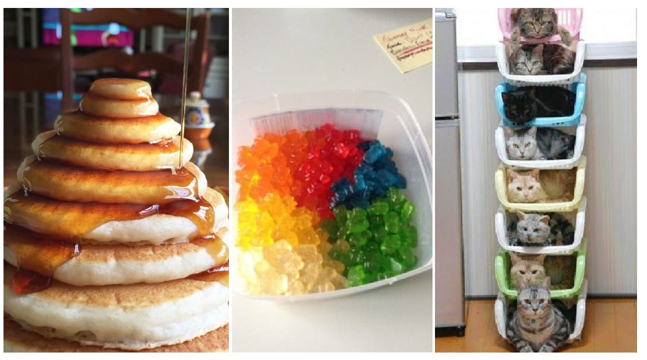 Zdroj : brightside.me