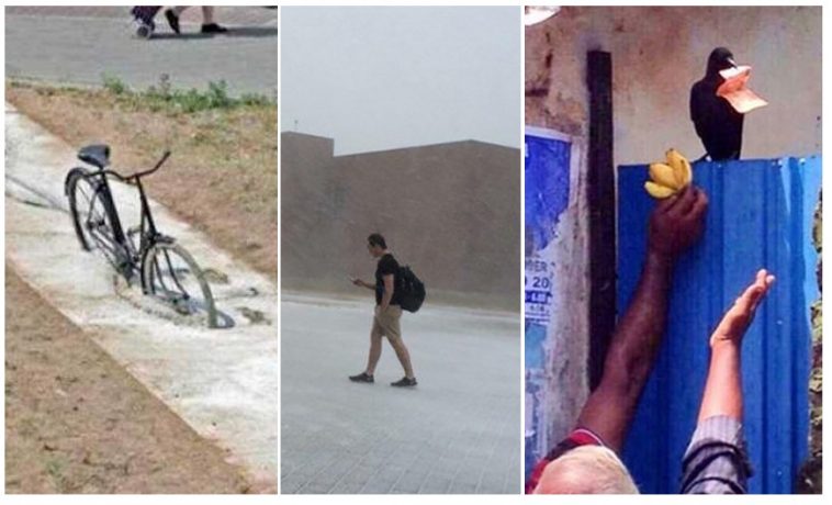 Zdroj : brightside.me