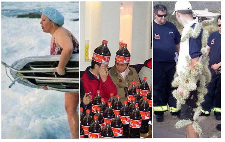 Zdroj : brightside.me