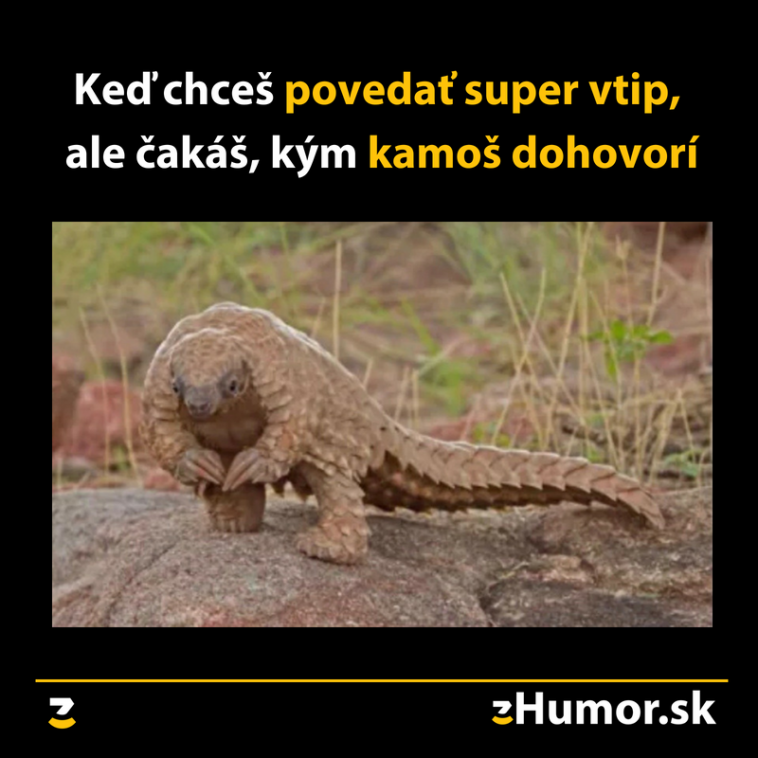 Zdroj : zhumor.sk