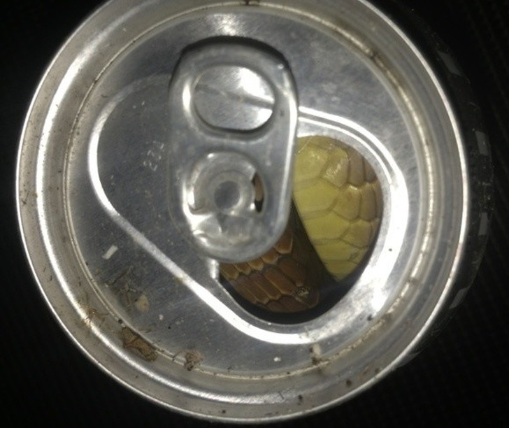 Zdroj : brightside.me