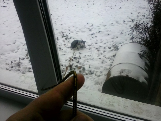 Zdroj : brightside.me