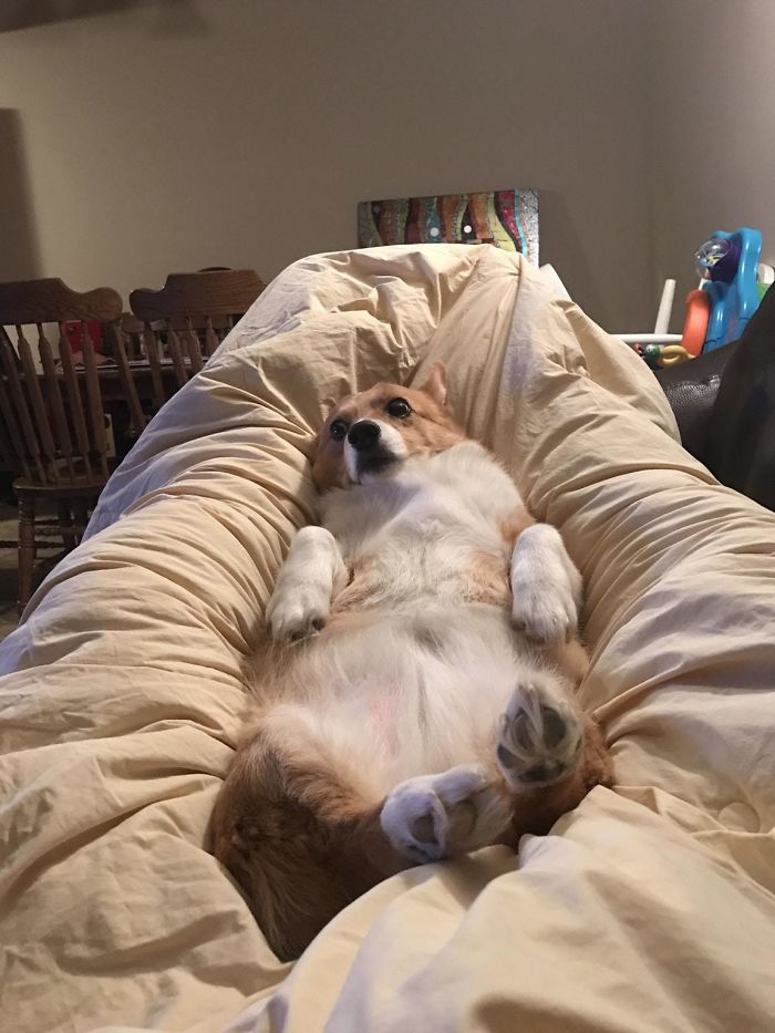 Zdroj: boredpanda.com