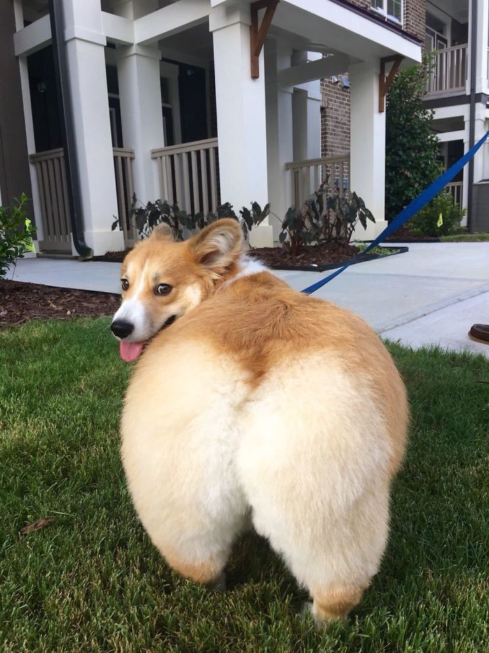 Zdroj: boredpanda.com