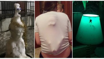 Zdroj : brightside.me