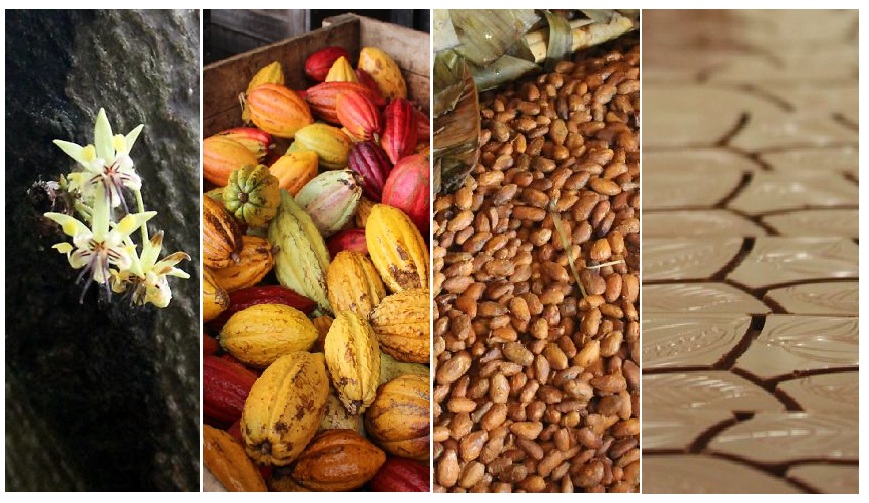 Zdroj: boredpanda.com