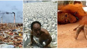 Zdroj : facebook.com/domimastr