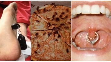 Zdroj : brightside.me