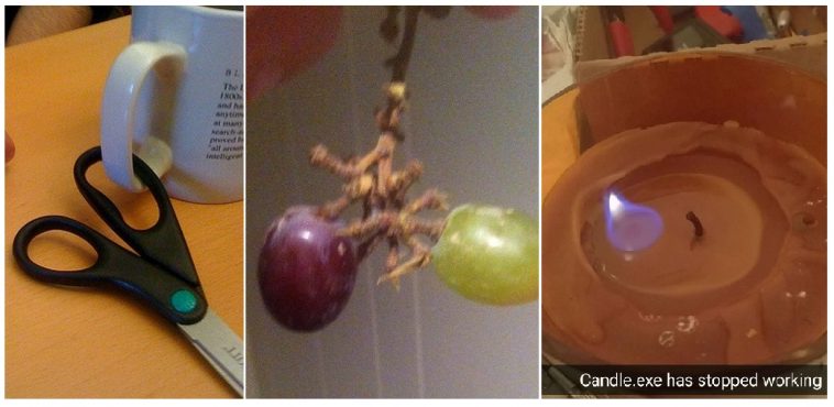 Zdroj : brightside.me