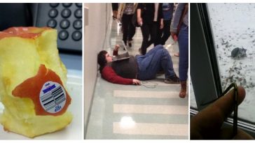 Zdroj : brightside.me