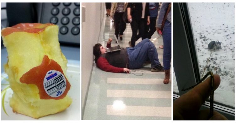 Zdroj : brightside.me