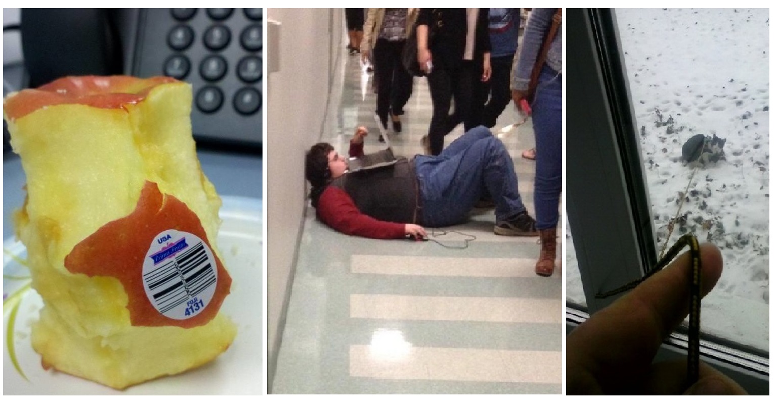 Zdroj : brightside.me