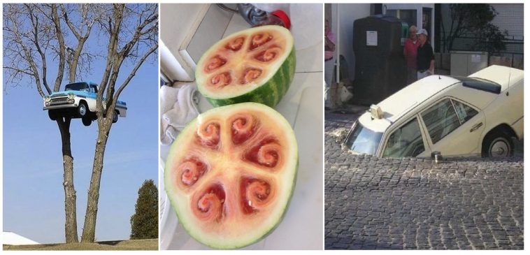 Zdroj : brightside.me