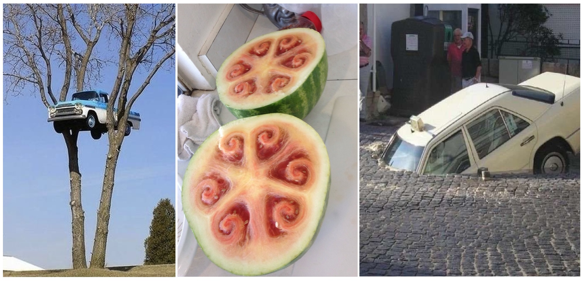 Zdroj : brightside.me