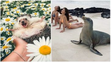 Zdroj : brightside.me