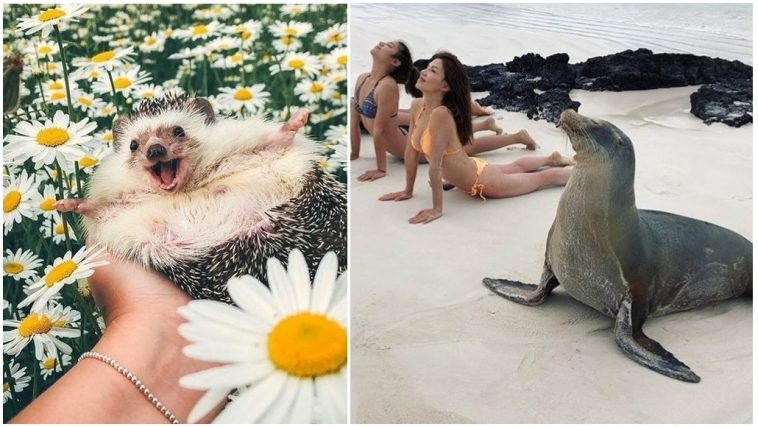 Zdroj : brightside.me